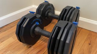 NordicTrack Select-A-Weight adjustable dumbbells