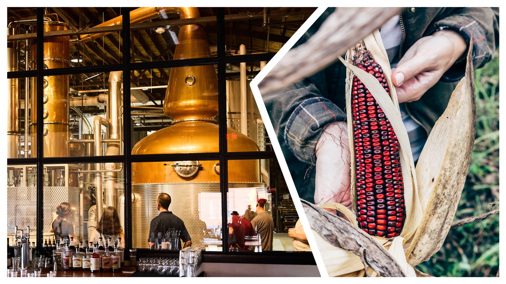 A whiskey distillery and corn husk