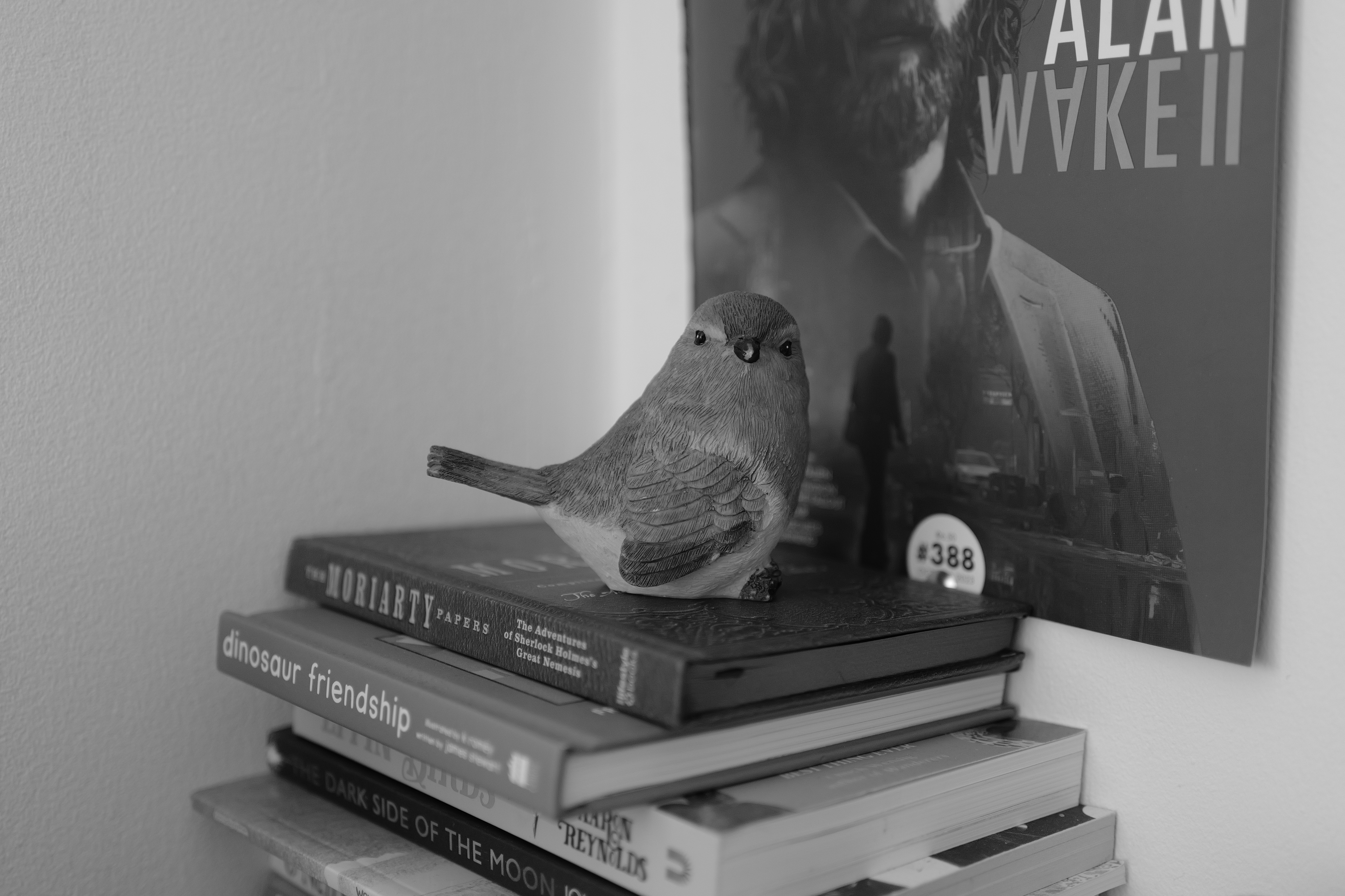 A photo taken on a Leica Q3 Monochrom black-and-white camera