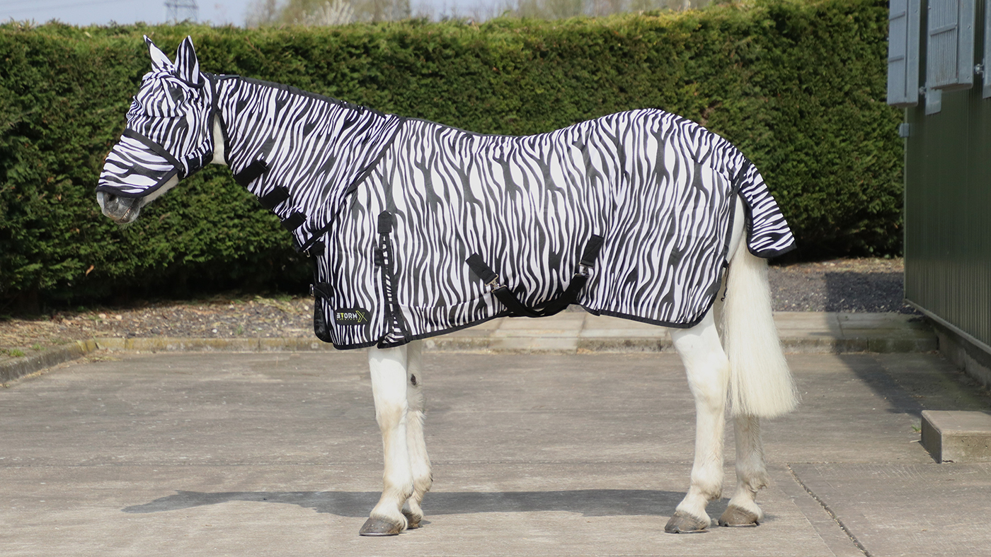 28568 &amp;amp; 27819 - Hy Equestrian Zebra Fly Mask with Ears and Detachable Nose &amp;amp; StormX Original Zebra Fly Rug - Lifestyle - 01