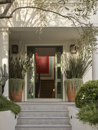 Front door with tropical planting