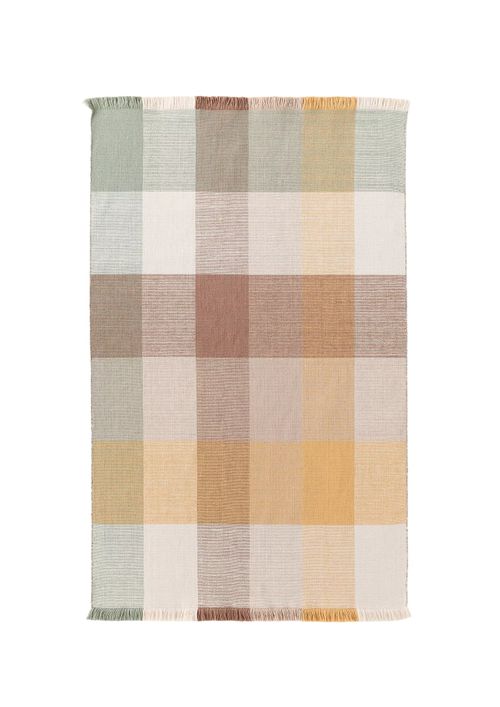 Fringed Indoor/outdoor Rug