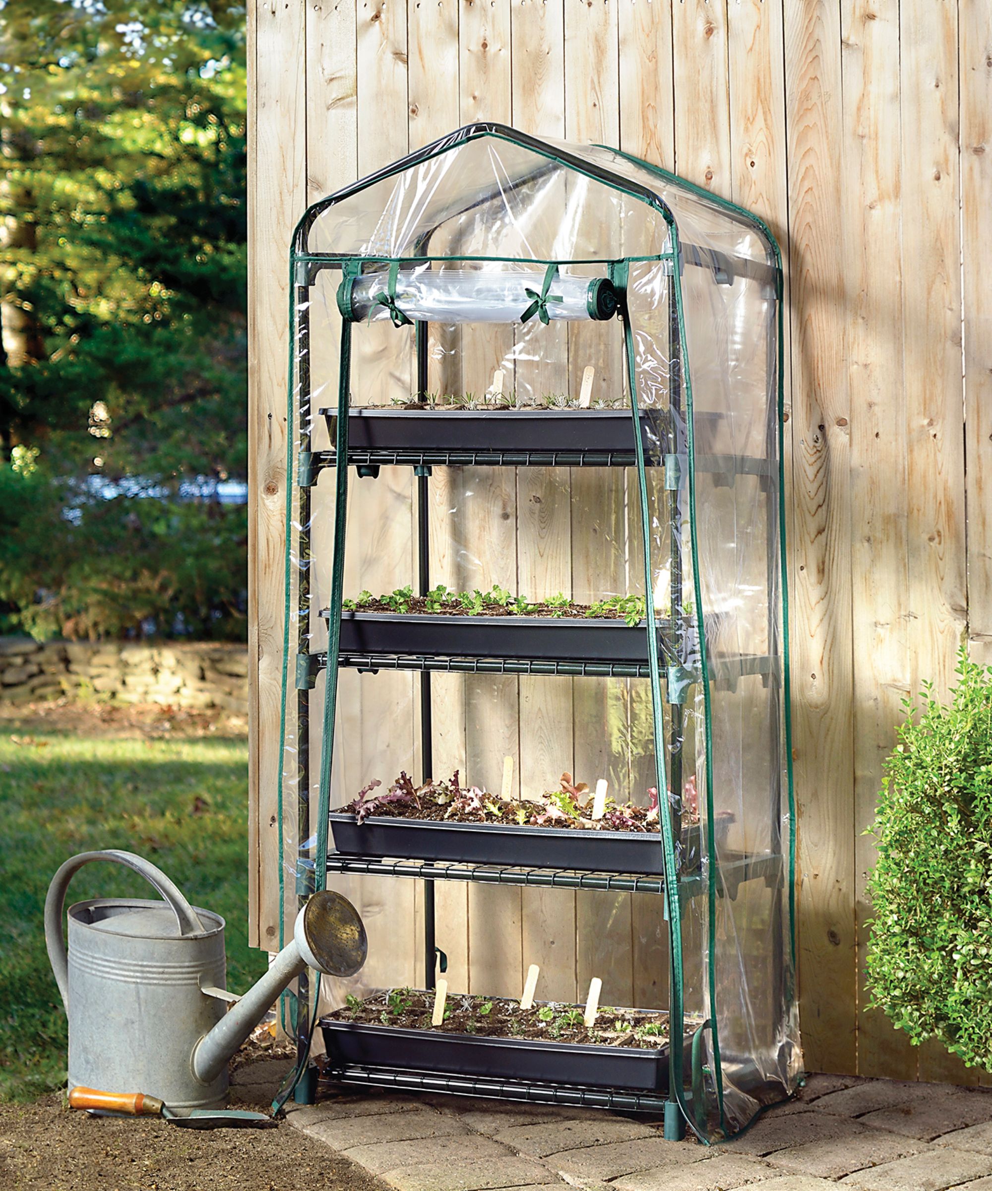 Clear mini greenhouse against wooden shed with a metal watering can nearby