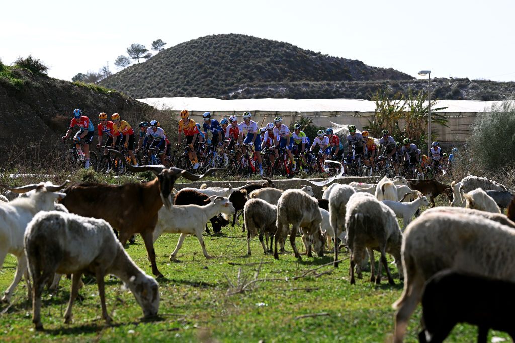The Clasica de Almeria peloton had some roadside spectators