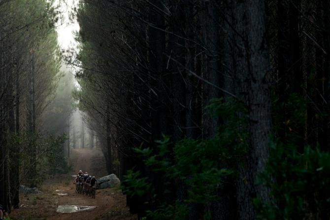 Through the trees at Oak Valley