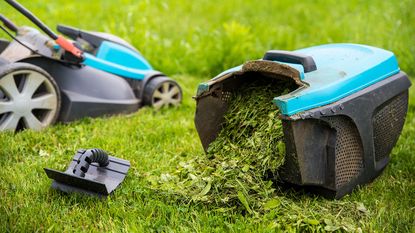 grass box from a lawn mower filled with grass clippings