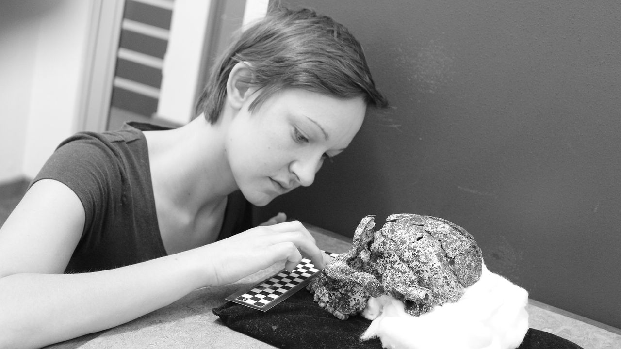 Angeline Leece examines the 2 million-year-old skull.