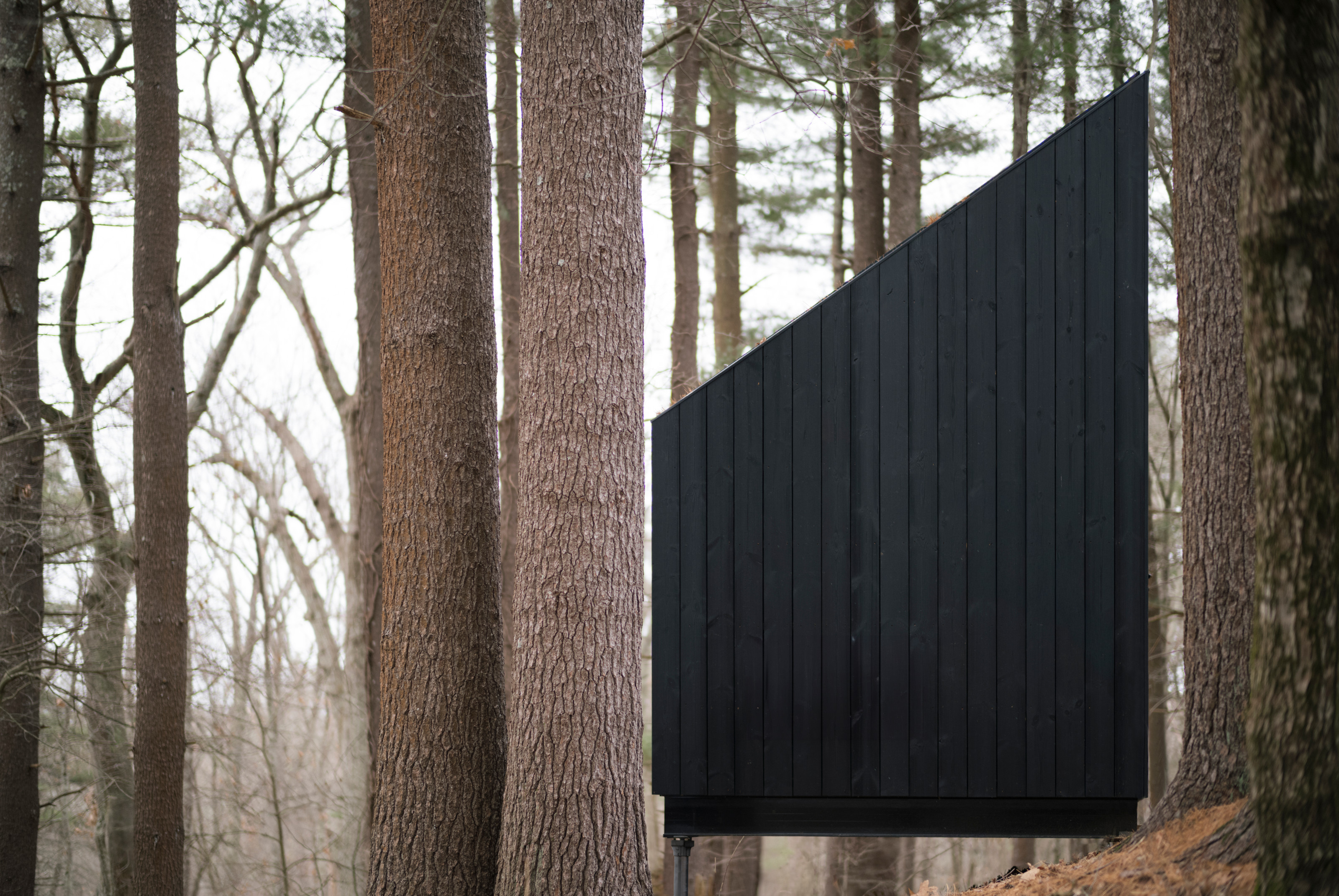 The Niwa Cabin is designed to sit lightly on its site