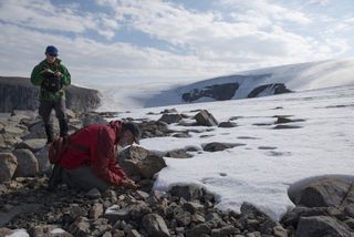 Simon Pendleton (left) and Gifford Miller (right) search the edge of the ice on Baffin Island for ancient vegetation samples.