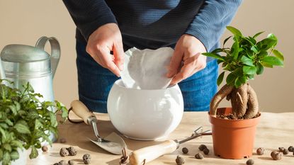 adding coffee filter to plant pot