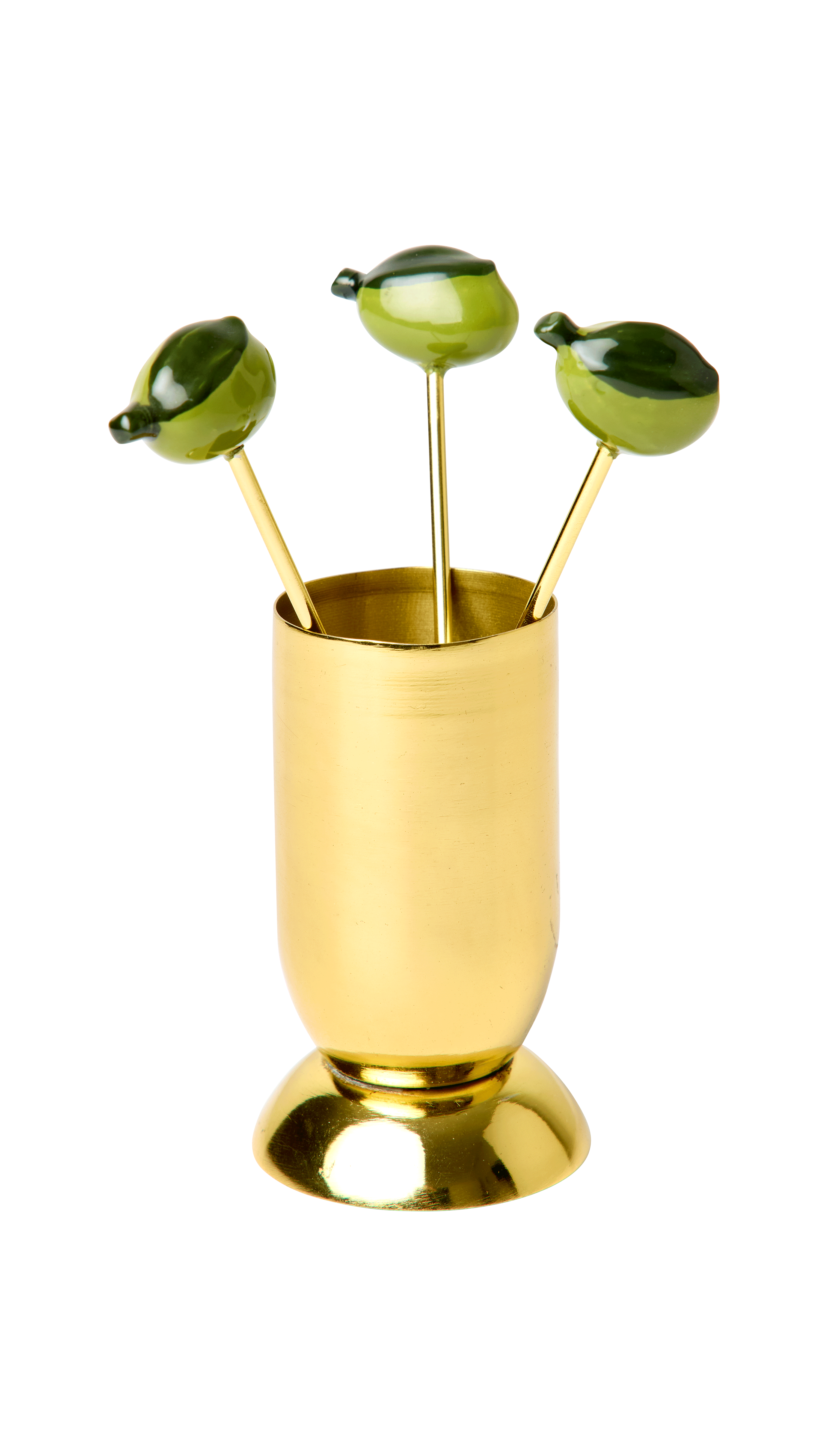 Six Cocktail Olive picks set 