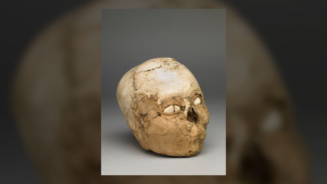 The skull is one of seven discovered by the British archaeologist Kathleen Kenyon near the ancient city of Jericho in 1953. It's now thought to be a relic of a common funerary practice at the time it was made, about 9,500 years ago.