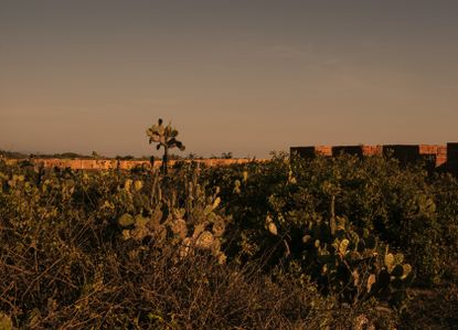 Los Atlantes, a land art installation by Bosco Sodi consisting of 64 cubes, each comprising 1,600 bricks