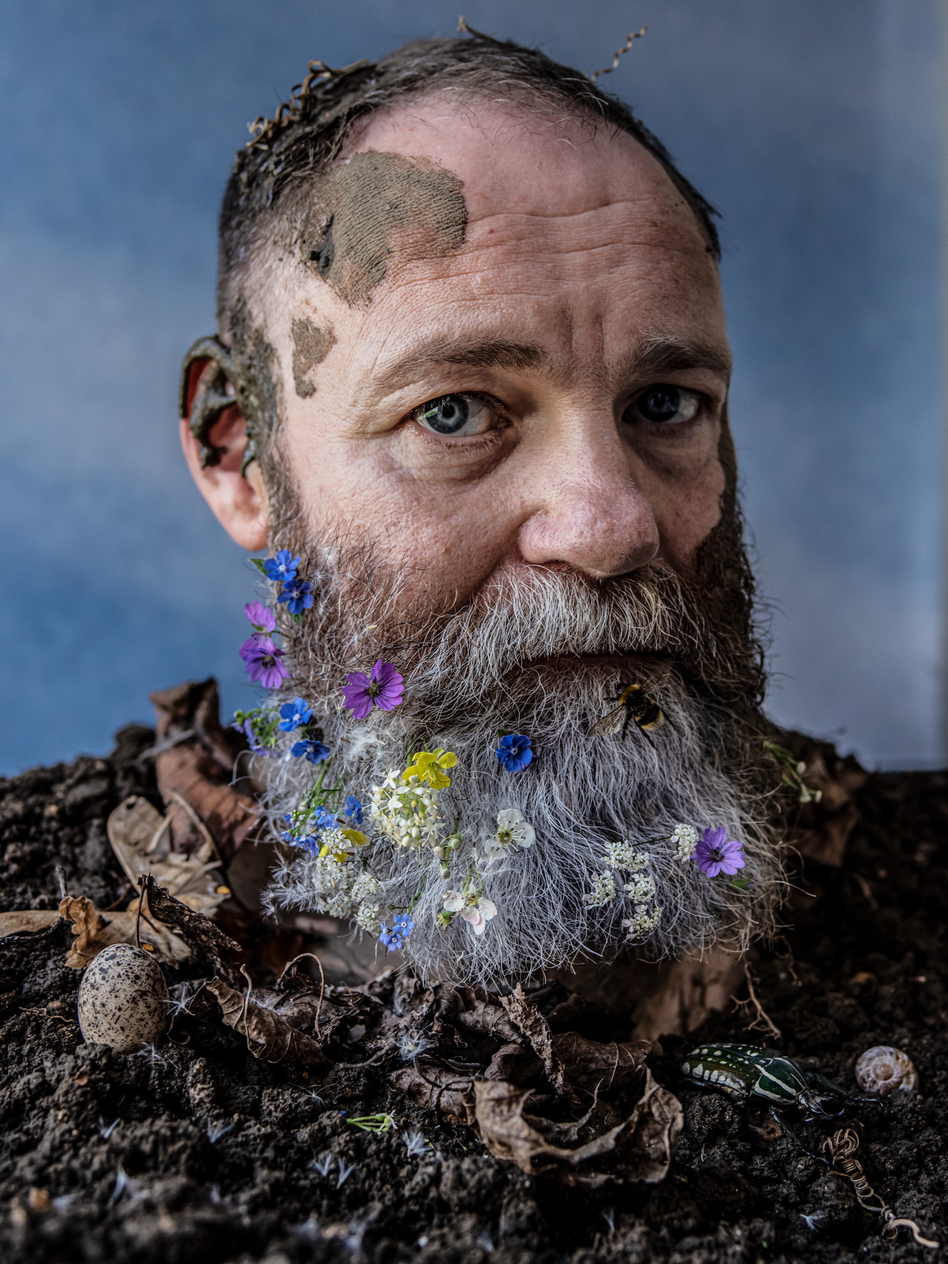Close-up of Francis Lee with mud on his face, apparently buried up to his neck in soil and dead leaves, with wildflowers and a bumblebee in his grey beard