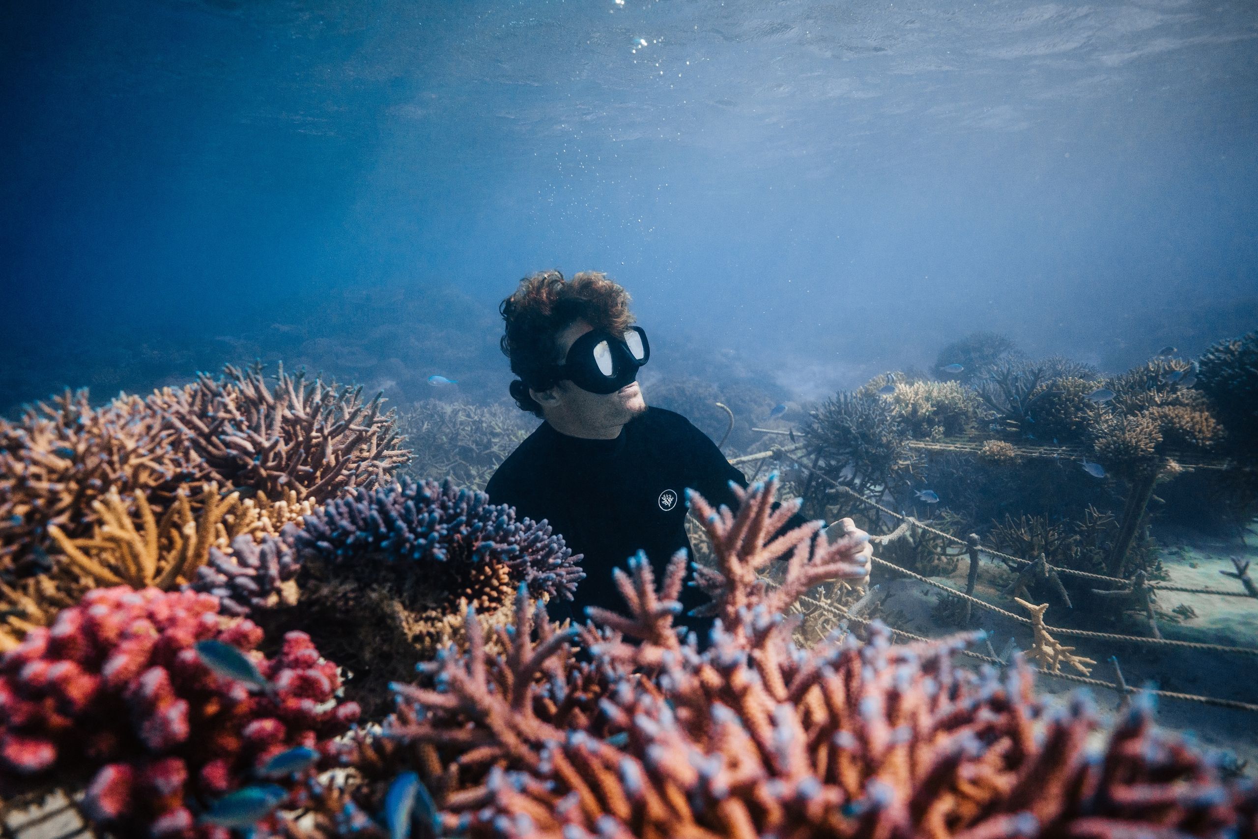 Titouan Bernicot doesn't grow tomatoes, he grows the ‘rainforest of the sea’, one coral at a time