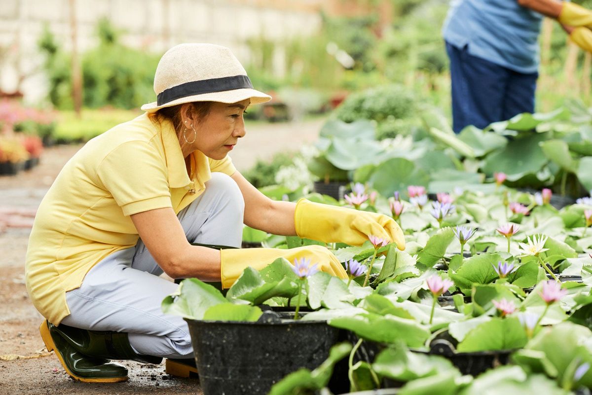 Choosing A Good Sun Hat: Why Is Wearing A Hat Important In The Garden ...
