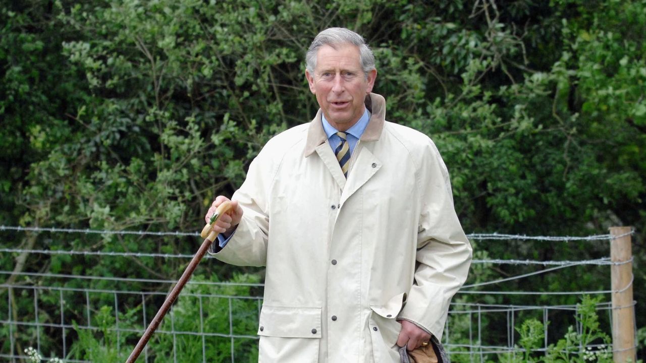 prince charles environment