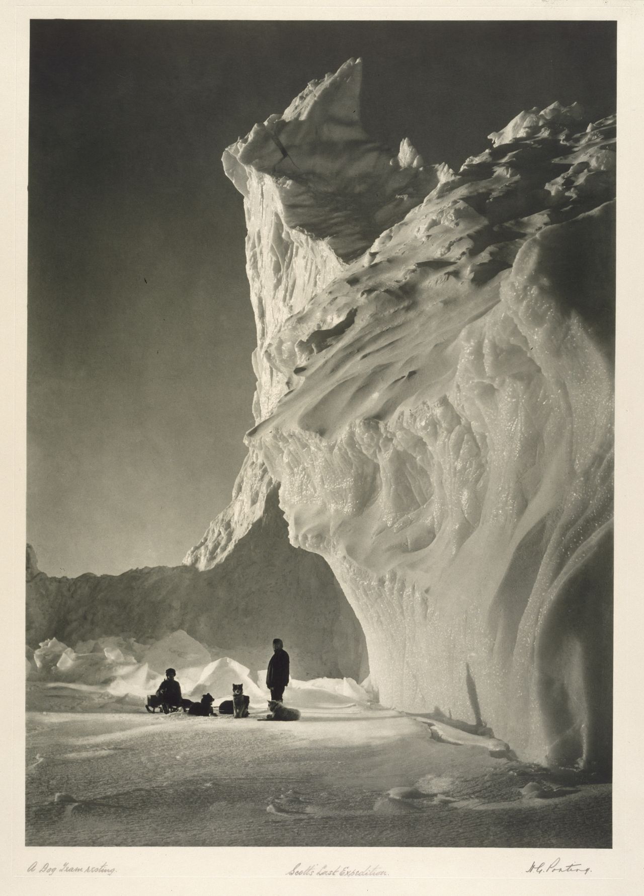 Herbert Ponting, Scott's Last Expedition, Dog Team Resting, 1910-1911 &copy; Victoria and Albert Museum