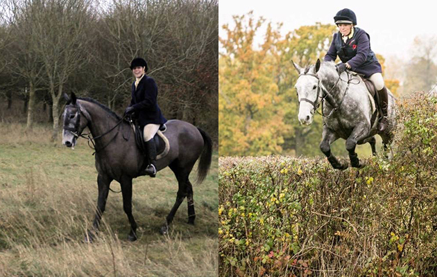 &ldquo;This is my eight-year-old Irish Sports Horse Sid, pictured in 2013 to today&rdquo; &mdash; Camilla Swift