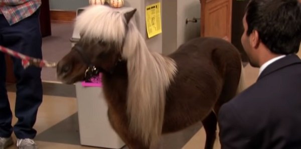 Lil Sebastian Parks And Rec NBC