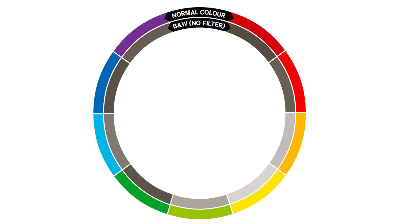 A color wheel featuring various hues, labeled for normal color, black and white without filter, in a circular gradient layout