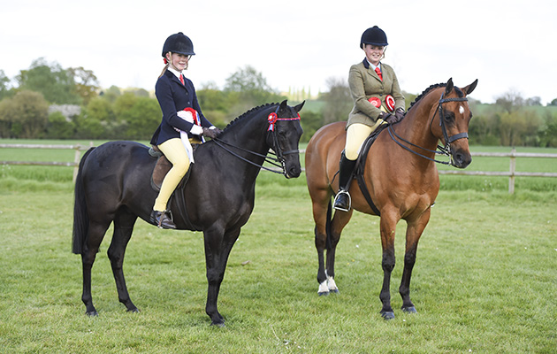 BSPS Area 15 show 22.04.2017