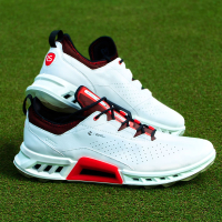 Rick Shiels' Edition Ecco Biom C4 Golf Shoes | Available at Ecco
RRP £200