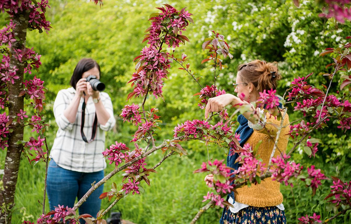 14 tips for flower photography at home