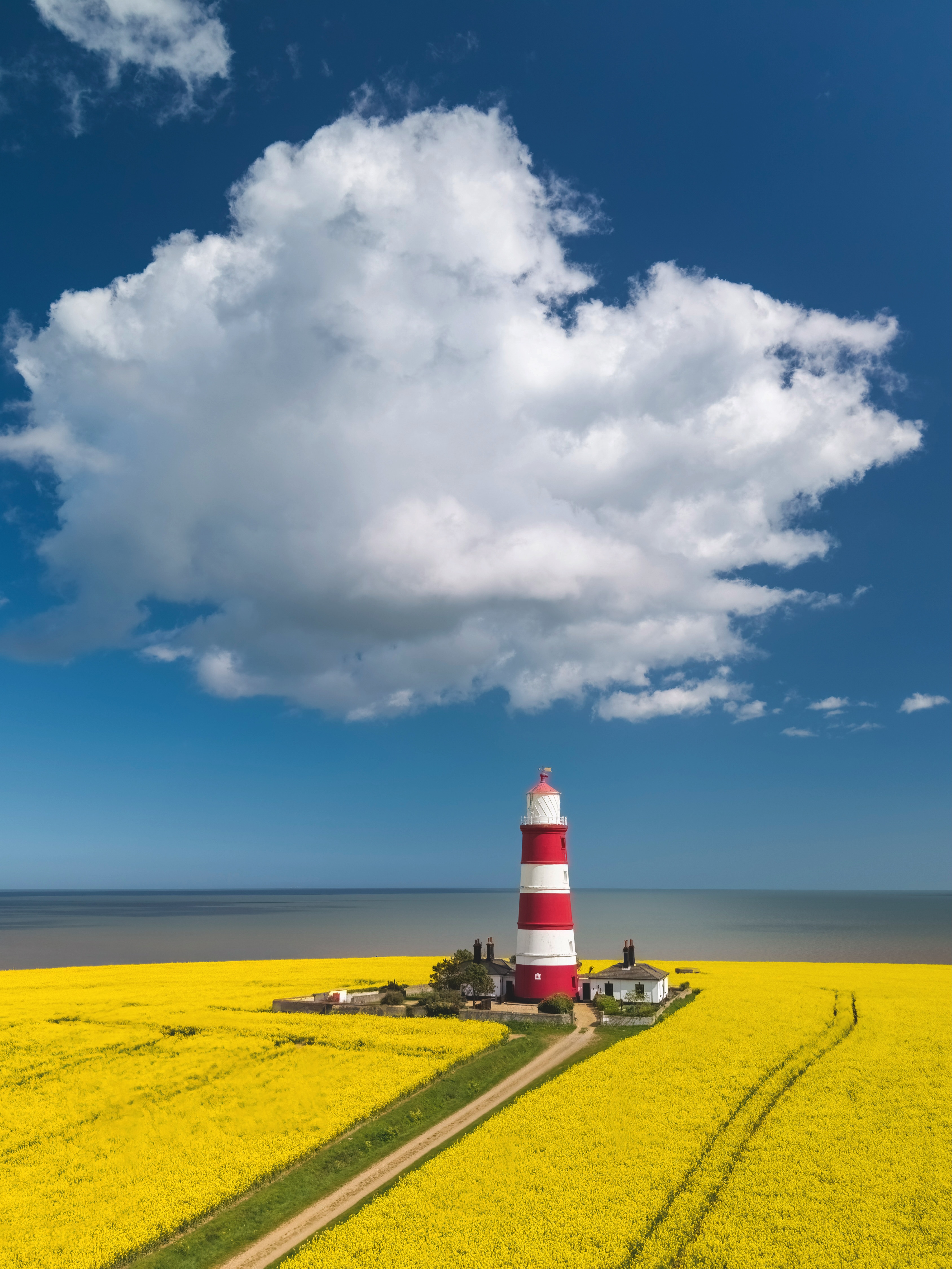 Happisburgh Lighthouse in Norfolk. The red and white ringed lighthouse stands in a yellow field, against a blue sky with a singular white cloud.