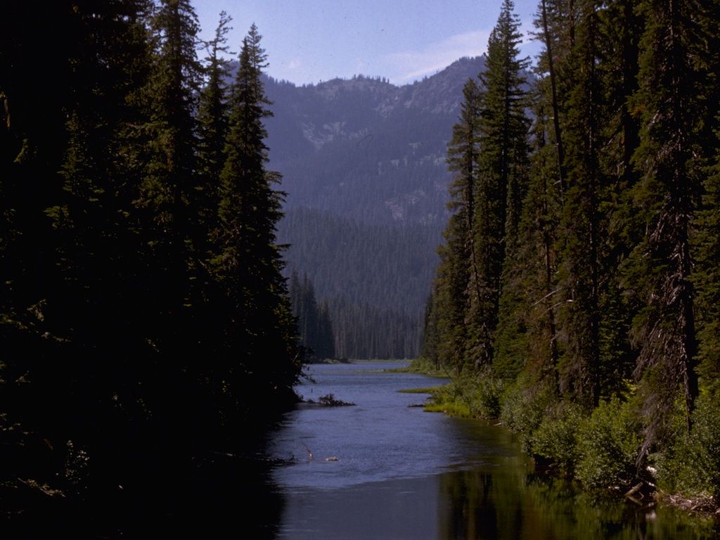 North Cascades River and Forest wallpaper