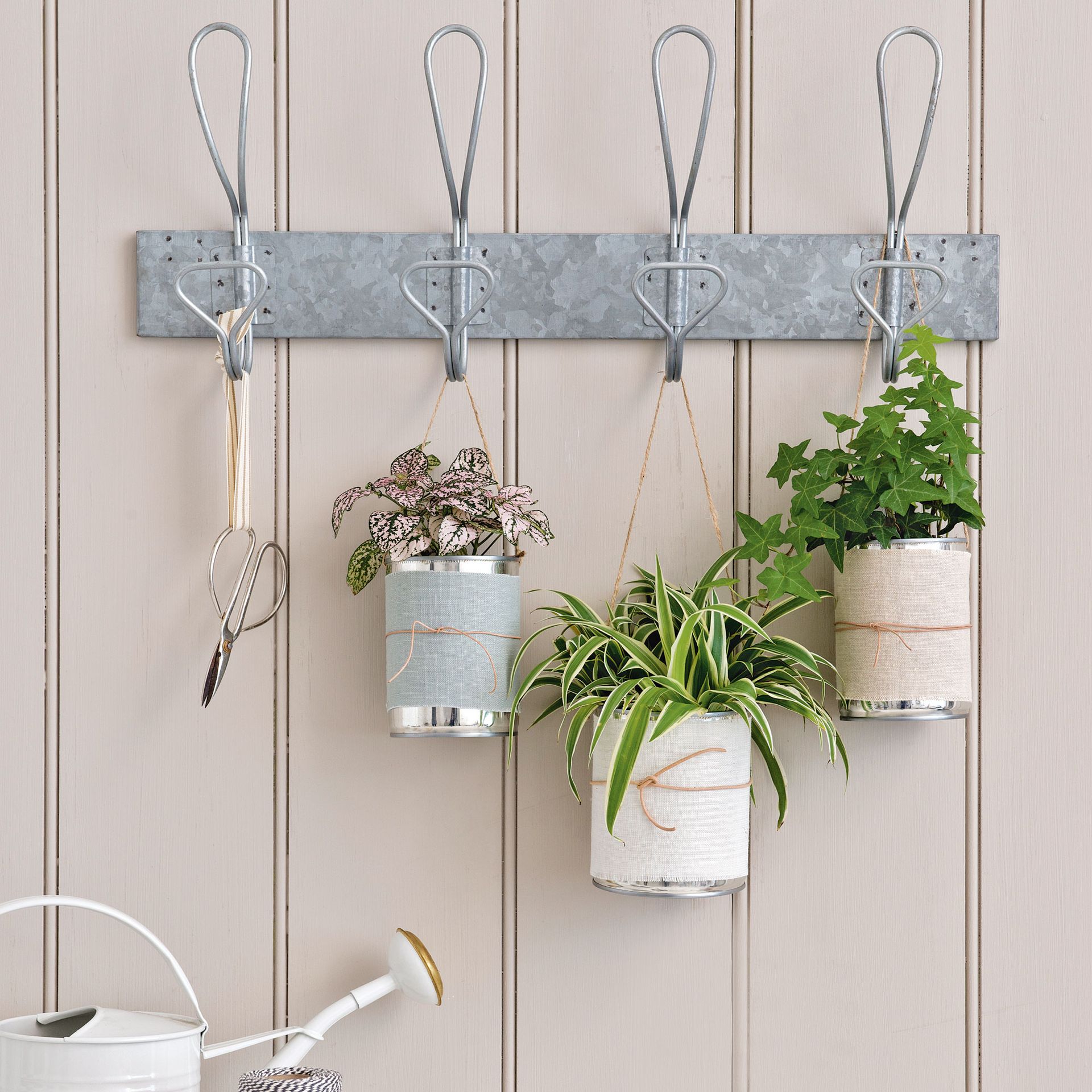 houseplants hung on steel pegs