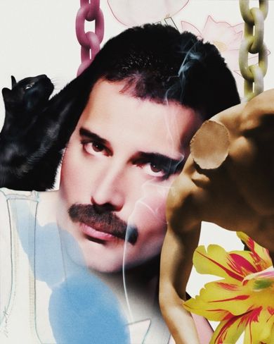 A collection of Freddie Mercury NFTs