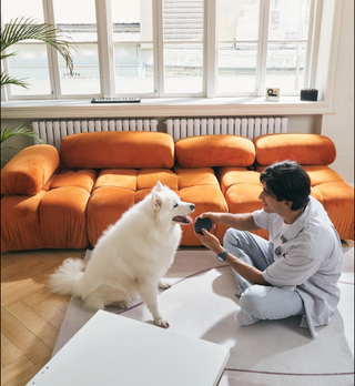 Man sitting and using the MEDO