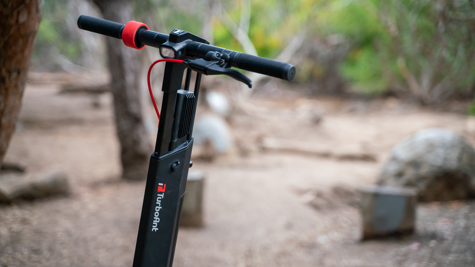 TurboAnt V8 Dual-Battery Electric Scooter at a park