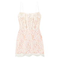 Rasario Lace and Tulle Mini Dress, £705.60 | Net-A-Porter