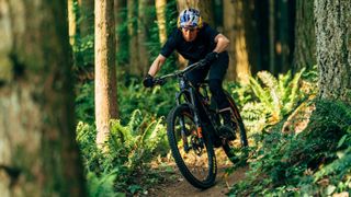 Man riding the Norco Sight VLT C2 on a woodland trail