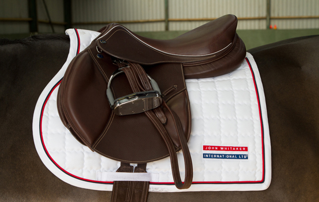 Saddle
