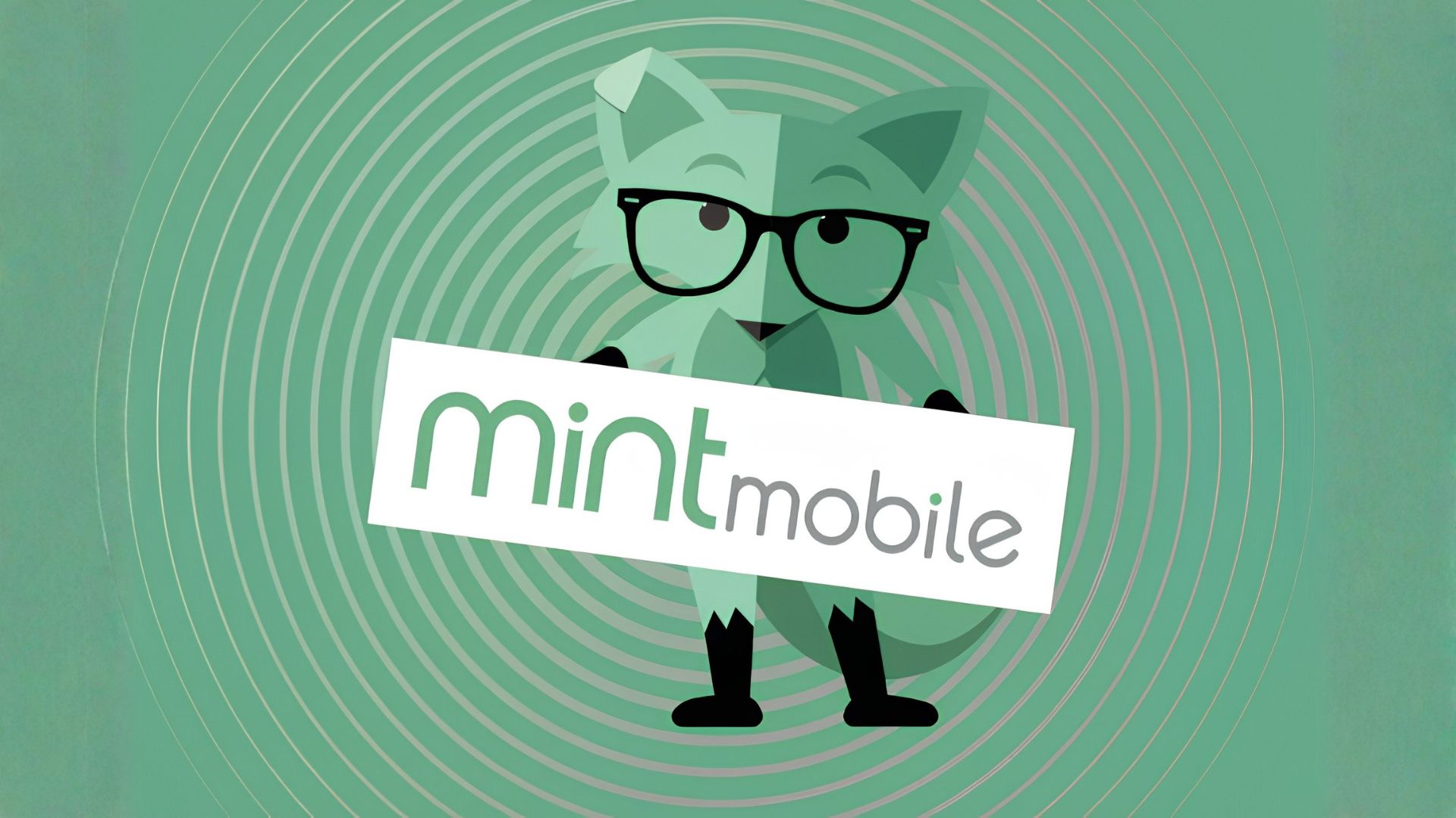 Mint Mobile Hero Image