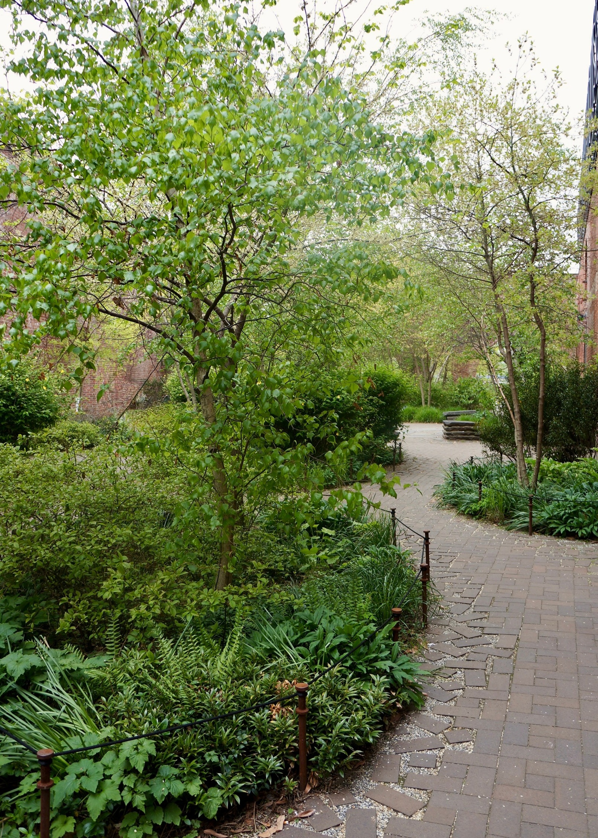 winding garden path with subtle edging feature