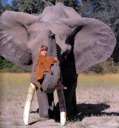 Tippi Degre elephant hugs