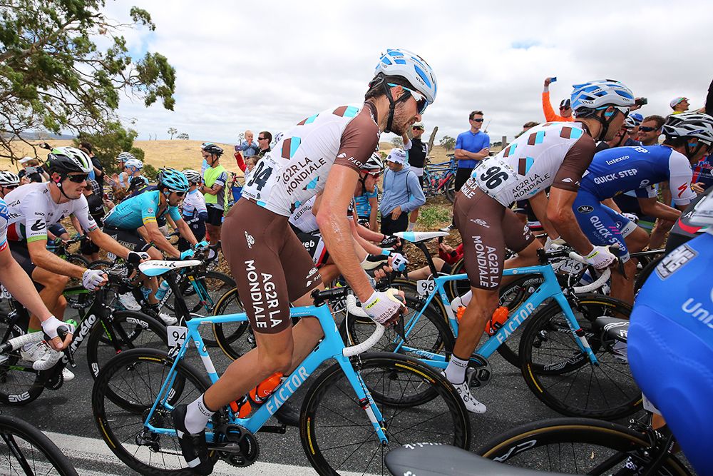The peloton in action during stage 4 at the Tour Down Under