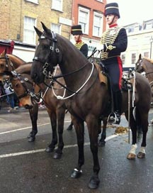 photo_(13).jpg