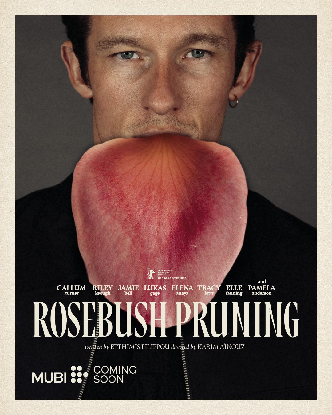 Rosebush Pruning posters.