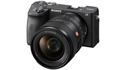 Sony A6600: a perfect camera for the “prosumer” | MoneyWeek