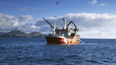 commercial fishing boat at sea