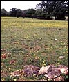 D06AF848-B7A5-4655-8DFC-F45255E4C622.jpg
