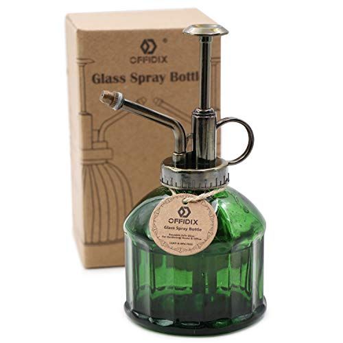 Glass Plant Mister 