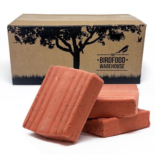 The Birdfood Warehouse Fruit &amp;amp; Berry Premium Suet Block 10 Pack | 100% Natural Wild Garden Bird Food, Suet for Birds