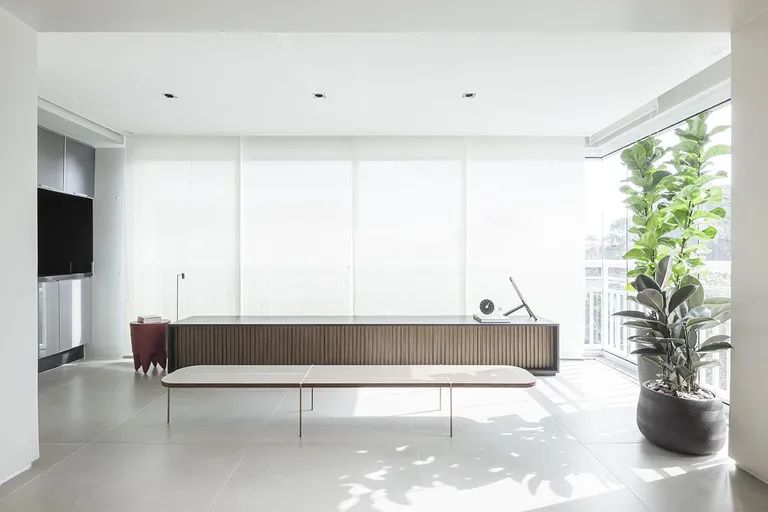 Mota Apartment by Flavio Castro