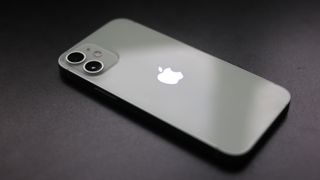 The iPhone 12 mini rear